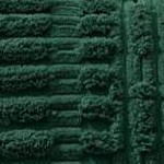 beige/dark green