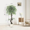 Artificial Ficus Tree, Faux Floor Tree White Imitation Ceramic Planter, Indoor Outdoor Lifelike Fake Ficus Tree with Pebbles & Green Fake Moss - 2 of 4