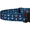 Country Brook Petz Martingale with Deluxe Buckle - Summer Breeze Collection - 4 of 4