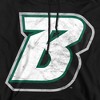Binghamton University Official Distressed Primary Logo Adult Pull-Over Hoodie - 2 of 4