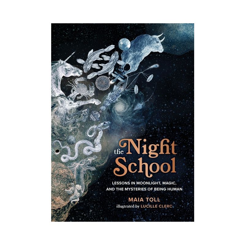 The Night School - by  Maia Toll (Hardcover), 1 of 2