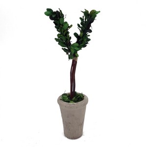 Modern Home 13" Real Preserved Boxwood Monogram Letters w/Terra Cotta Pot - 1 of 3