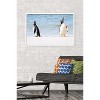 Trends International The Comedy Wildlife Photography Awards: Jennifer Hadley - Talk To The Fin Framed Wall Poster Prints - 2 of 4