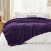 Bedsure | Cute Soft Cozy Checkered Throw Blanket for Couch - 2 of 4