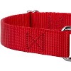 Country Brook Design Martingale Heavyduty Nylon Dog Collar and Double Handle Leash - 4 of 4