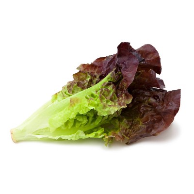 Red Leaf Lettuce Head - each