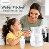 Nispira Water Filter Replacement for Nakii Aquaphor Water Pitcher Dispenser Removes Chlorine, Lead, Odor, Color Reduce Water Hardness, 4 Packs - 2 of 4