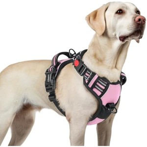 rabbitgoo Dog Harness for Large, No Pull Pet Harness with 3 Buckles, , Walking Reflective Pet Vest for Large Dogs, Pink, L - 1 of 1