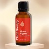 Plant Therapy Essential Oil Blend | Plant Therapy Family. | Essential Oil questions. - Germ Fighter / (1 oz) - 4 of 4