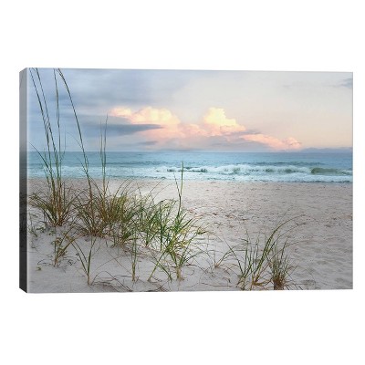 12" x 18" x 0.75" Beach Driftwood by Nan Unframed Wall Canvas - iCanvas