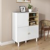 KTMBDW Modern Floor Storage Cabinet with Shelf and Double Door Rust Proof, Living Room Modern Home Furniture Storage Organizer Cabinet - 3 of 4