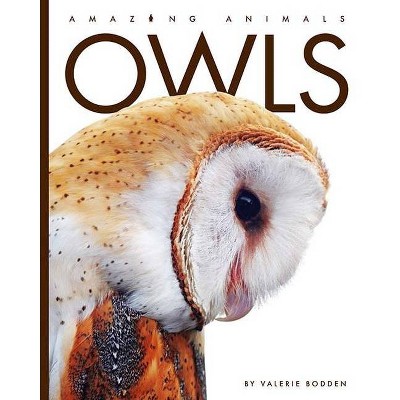 Owls - (Amazing Animals) by  Valerie Bodden (Paperback)