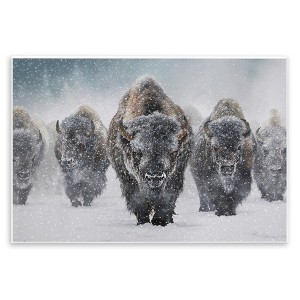 Stupell Industries Indomitable Bison in Snow Wall Plaque Art - 1 of 4