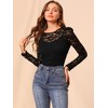 INSPIRE CHIC Women's Vintage Semi-Sheer Puff Long Sleeve Embroidery Lace Floral Blouse - 3 of 4