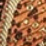 light brown and black