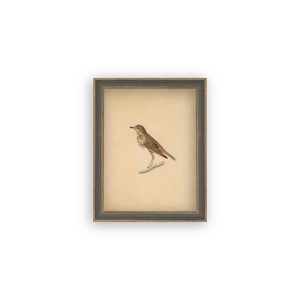 Petal Lane 7"x9" Bird Wall Art: Vintage Style Canvas, Framed in Gray Polystyrene, Earth Tone Multicolor Animal Artwork - 1 of 3