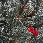 3ft-1pc snow flocked tburlap base