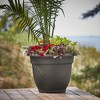 Bloem Ariana Round Resin Planter Pot Indoor and Outdoor Gardening - 2 of 4