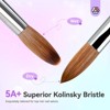 Saviland Kolinsky #10 Brush: Acrylic Sculpt & Powder Tool w/ Light Refractive Handle - Core Pro Artistry Essential .(Light Purple) - 3 of 4