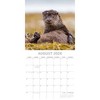 2026 Square Wall Calendar, Country Wildlife, 16-Month Animals Theme with 180 Reminder Stickers (12x12 In) - 3 of 4