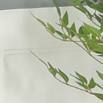 light yellow & silver