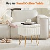TUYOHW 16" Storage Ottoman,Faux Fur Vanity Stools with 4 Metal Legs & Anti-Slip Adjustable Feet,Ottoman for Living Room,Entryway - 4 of 4