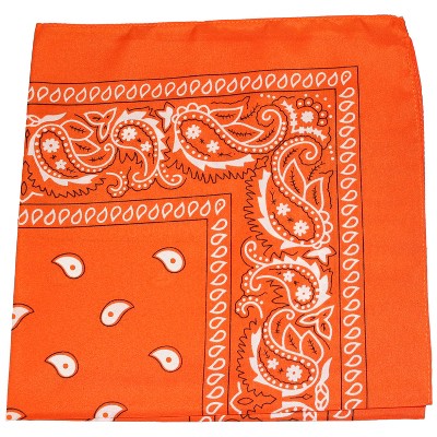 Daily Basic 12 Pack 100% Cotton 22 X 22 In Paisley Printed Bandana