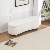 SEYNAR Modern Glam Teddy Fabric Upholstered Storage Ottoman Bench - 2 of 4