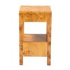 bali & pari Azmi Wood 2 Drawer Nightstand Light Mappa Burl - 2 of 4