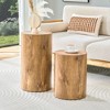Round End Table Coffee Table Sofa Side Table Center Table Cocktail Table Accent Table  - ModernLuxe - 4 of 4