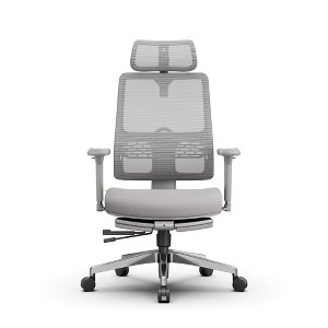 Newtral MagicH-GPro Home Office Chair with Footrest - 4D Armrest - 1 of 4