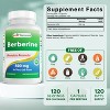 Best Naturals Berberine 500mg 120 Capsules - Supports Immune Function, Cardiovascular & Gastrointestinal Function - 2 of 4