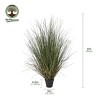 Artificial Onion Grass Potted Plant - Faux Greenery for Indoor Home Decor - Realistic Fake Reeds for Modern Farmhouse - 3 of 4