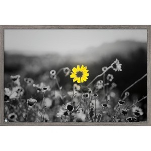 Trends International Joseph S Giacalone - A Bit Of Yellow Framed Wall Poster Prints - 1 of 4