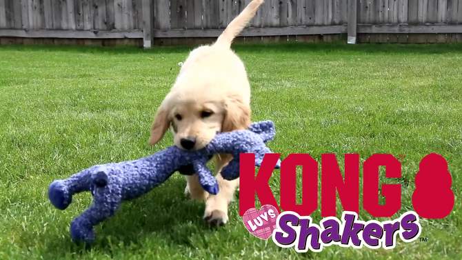 KONG Shakers Elephant Dog Toy - S, 2 of 8, play video