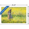 Trends International The Comedy Wildlife Photography Awards: Jason Moore - Air Guitar Roo Framed Wall Poster Prints - 3 of 4