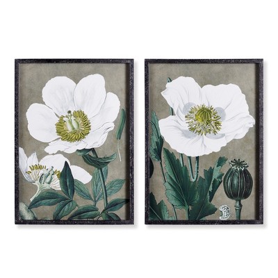 Plum & Post 19.75" x 27.5" Stunning Poppy Floral Flower Art Prints in Fir Wood Frame w/ Glass Pane, Set of 2