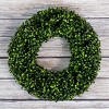 Nature Spring Boxwood Wreath - 16.5-Inch Round UV Resistant Artificial Spring, Summer, Fall, or Winter Wreath - Outdoor/Indoor Wreaths - 4 of 4