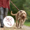 Unique Bargains Durable Bunny Style Pet Leash Kit - 2 of 4