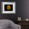 Trademark Fine Art - Brian Carson Backyard Flowers 58 Matted Framed Art - image 2 of 4