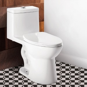 Captiva Designs Two-Pieces Elongated Toilet, Comfortable Height Toilet - 1 of 4