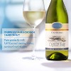 Oyster Bay Chardonnay White Wine - 750ml Bottle - 4 of 4