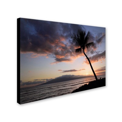 Trademark Fine Art -Pierre Leclerc 'Palm Tree Maui' Canvas Art