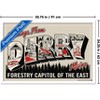 Trends International IT: Welcome to Derry (2025) - Greetings From Derry Framed Wall Poster Prints - 3 of 4