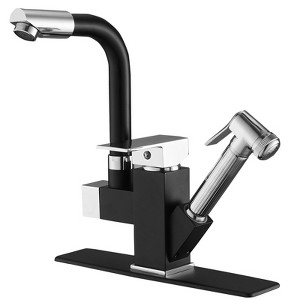 Double-Handle Pull-Out Sprayer 2 Spray Low Arc Kitchen Faucet With Deck Plate - 1 of 4
