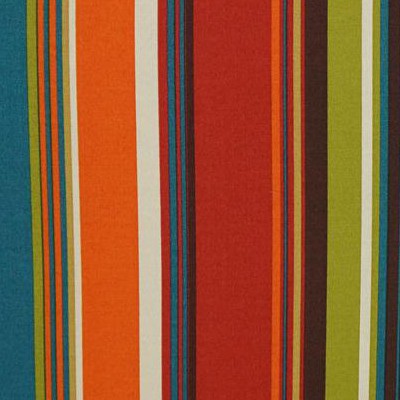 multicolored