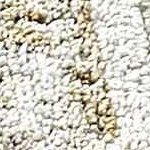 ivory, medium gray, tan