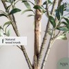 Maia Shop 5ft Artificial Olive Tree, Fake Plants for Home Decor, Indoor Tropical Decoration - 4 of 4