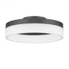 Quoizel Lighting Cohen 1 - Light Flush Mount in  Oil Rubbed Bronze - 3 of 3