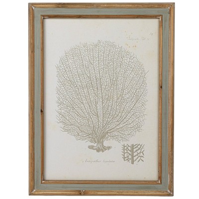 Reclaimed Wood Framed Coral Print Wall Art Set of 4